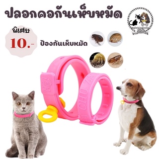 🐶😻ปลอกคอกันหมัดเห็บ แมลง ยุง ปรับไชส์ได้ สำหรับสุนัขพันเล็กราคาเส้นละ10บาท มีชำระปลายทางค่าส่ง22 บาทมีชำระปลายทาง