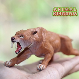 Animal Kingdom - โมเดลไดโนเสาร์ Smilodon ขนาด 15.50 CM (จากหาดใหญ่)