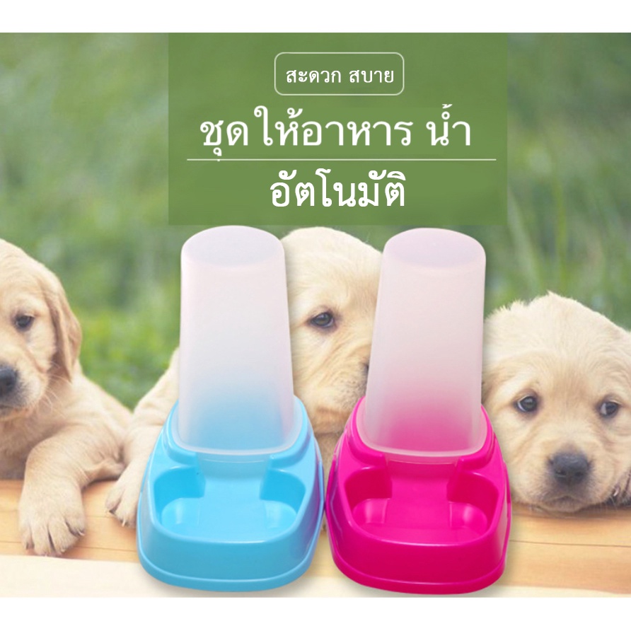 AL-157 ที่ให้อาหารอัตโนมัติ สุนัข หมา แมว กระต่าย ที่ให้อาหารสัตว์เลี้ยง ที่ให้น้ำอัตโนมัติ พร้อมส่ง