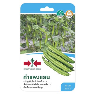 WINGED BEAN SEED EAST-WEST SEED KAMPHEANGSAN ถั่วพูกำแพงแสน ศรแดง เมล็ดพันธุ์ ปุ๋ยและเมล็ดพันธุ์ สวนและอุปกรณ์ตกแต่ง WIN