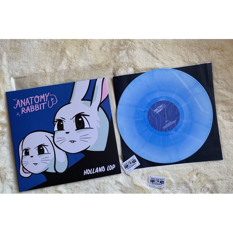 แผ่นเสียง Anatomy Rabbit : Holland Lop Limited White / Blue Mixed Vinyl