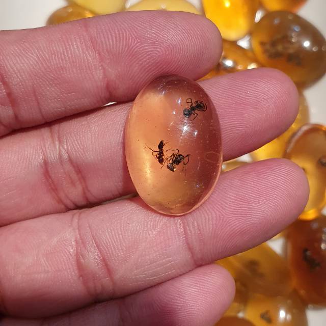 SUPER AGATE STONE มด BADAR STONE