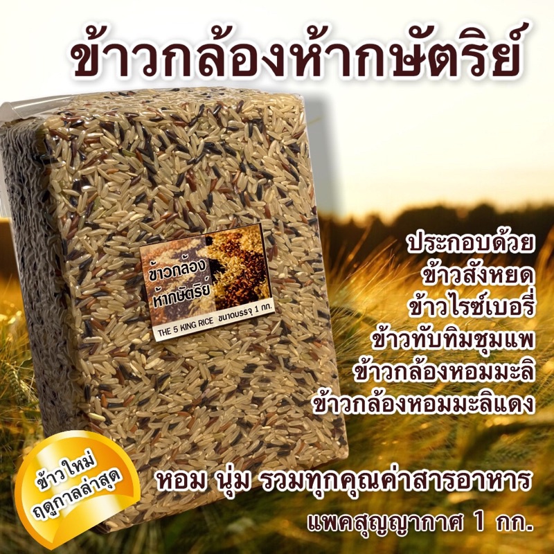 รูปภาพ 8