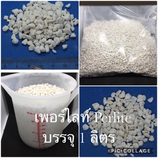 เพอร์ไลท์ Perlite บรรจุ 1.2 ลิตร