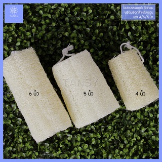 ใยบวบขัดผิว บวบตัดท่อน พร้อมเชือกห้อย (1 ชิ้น) Luffa scrub cut loofah with string hanging (1 piece)