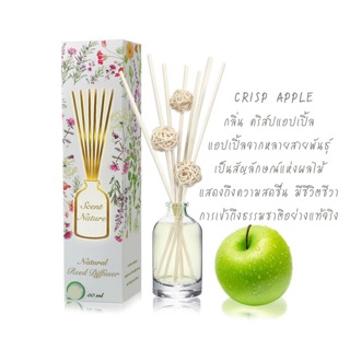 น้ำหอมไม้ปักอโรม่า กลิ่น Apple : scent nature