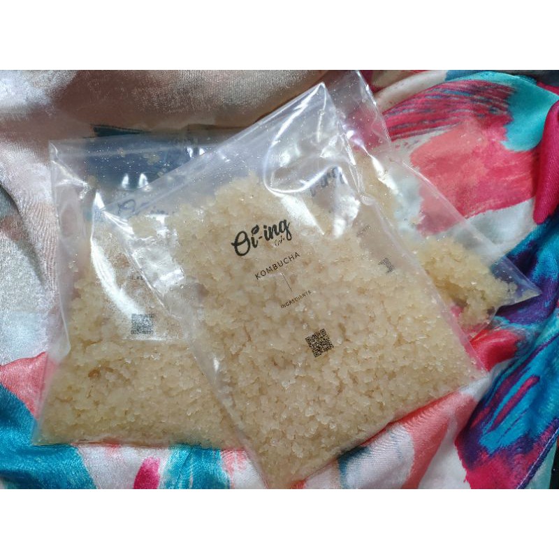 เกรนคีเฟอร์สำหรับหมักน้ำ (Kefir Grains)