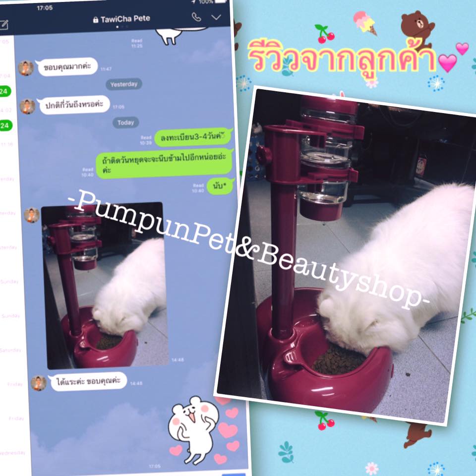 ชุดให้น้ำและอาหาร สุนัข&แมว แบบขาตั้ง 2 ช่อง (สีครีม/แดง/ส้ม/ฟ้า)