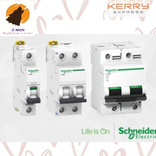 C 1P 10A  32A Miniature Circuit Breaker AC คุณภาพ 230V 50HZ