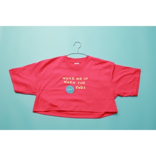 PlainandPlane ll World Ends Tee Crop (Pink)