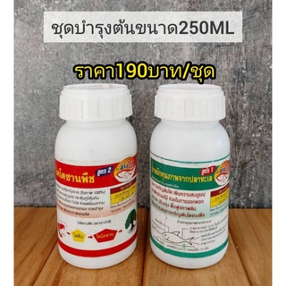 ชุดบำรุงต้นน้ำหมักปลาทะเลคู่กับไคโตซานพืช (สูตร1+สูตร2)ขนาด 250ml(ชุดทดลอง)