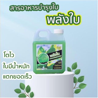 ปุ๋ยกระท่อม สารอาหารบำรุงใบ พลังใบ เร่งโต แตกยอดไว ใบเขียวดก บำรุงต้น ช่วยสะสมอาหาร 1 ลิตร