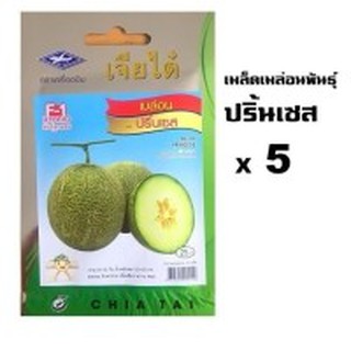 เมล็ดเมล่อนพันธุ์ปริ้นเซส 5ซอง - melon princess