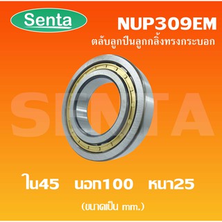 NUP309EM ตลับลูกปืนเม็ดทรงกระบอก ขนาดใน45 นอก100 หนา25 มิลลิเมตร NUP309 ( Cylindrical Roller Bearings )