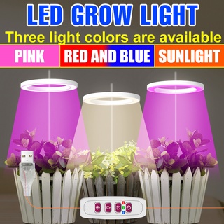 โคมไฟเร่งการเจริญเติบโตของพืช USB LED สีแดง สีฟ้า ไฟสเปกตรัมเต็มรูปแบบ DC5V จับเวลาอัจฉริยะ มัลติฟังก์ชั่น สําหรับเพาะเมล็ดดอกไม้