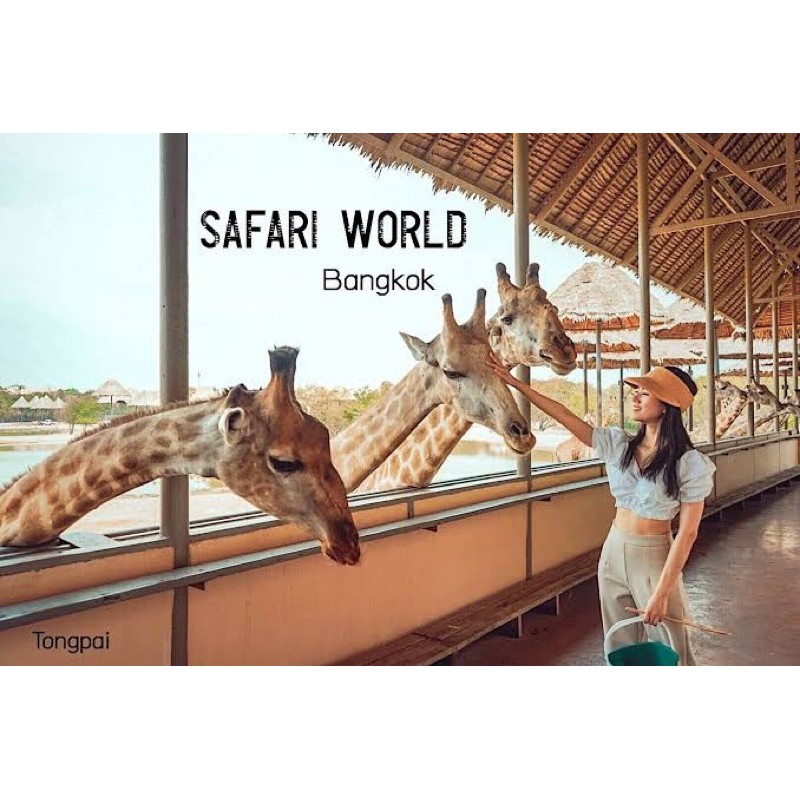 พร้อมส่ง-นัดรับได้🔥 บัตรซาฟารีเวิลด์ (Safari World) VIP เข้าได้ทั้ง 2 โซน หมดอายุ 31 ธค 65