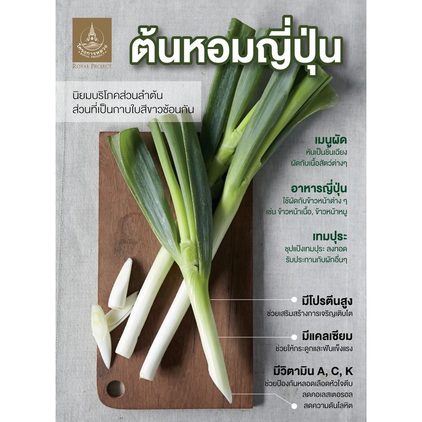 เมล็ดพันธุ์ ต้นหอมญี่ปุ่น หอมญี่ปุ่น (Japanese Bunching Onion) เมล็ดต้นหอม ต้นหอม