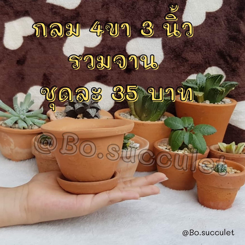 กระถางดินเผา 3นิ้ว กลม 4 ขา รวมจาน ไม้อวบน้ำแคคตัส ปลูกฮาโวเทีย ใส่ต้นไม้จิ๋วเล็ก เครื่องปั้นดินเผา ของแต่งบ้าน จัดสวน