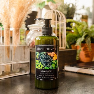 CHAN NATURE แชมพูสมุนไพรสด มะกรูด ขิง ใบบัวบก ใบย่านาง ลดผมร…