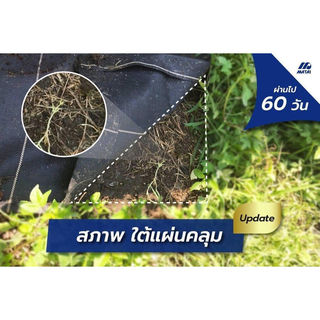 60บาท/ตรม. Matai พลาสติกคลุมดิน Size 1.5x10M รุ่น Pro จากญี่ปุ่น ทนทานนาน 10 ปี ป้องกันรังสี UV - รูปที่ 3