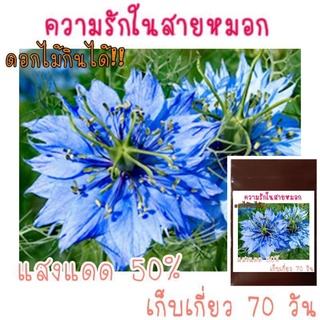 20 เมล็ด ดอกไม้กินได้ รักในสายหมอก Love in a Mist