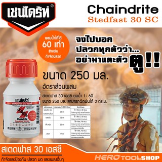 CHAINDRITE เชนไดร้ท์ สเตดฟาส 30 เอสซี ผลิตภัณฑ์กำจัดปลวก ชนิดผสมน้ำราดพื้น ขนาด 250 cc. (1/4 ลิตร)