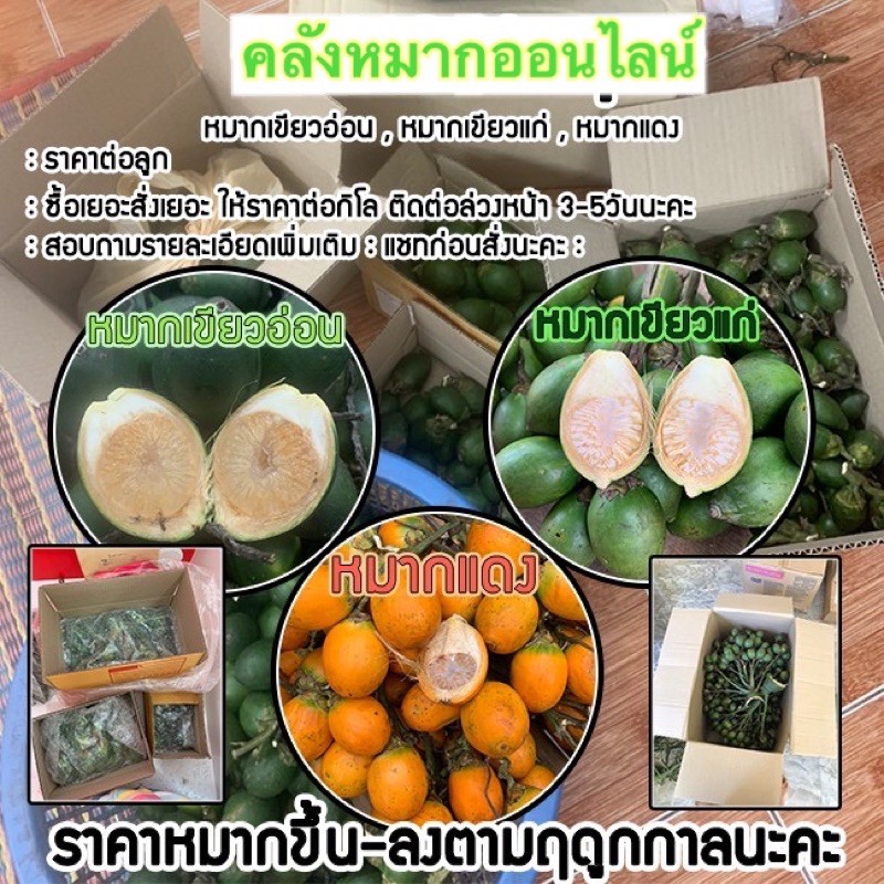 จัดส่ง 3-4 วัน หมากสดใหม่ หมากเขียวอ่อน/แก่​ หมากแดง​  ค่าจัดส่งถูกมาก