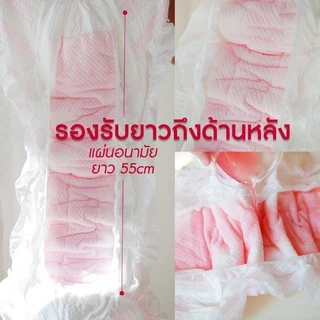 Happykid_shop TAMME แทมเม่ ผ้าอนามัยแบบกางเกง ชนิดสวม ใส่หลังคลอดได้