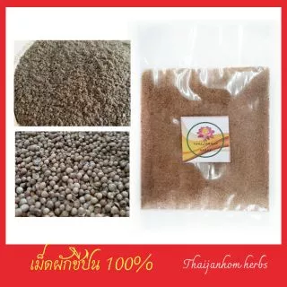 ผักชีป่น ผักชี เม็ดผักชีป่น ลูกผักชีป่น ผงผักชี Coriander Powder 20 กรัม