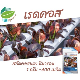 เรดคอส คอสแดง (Red Cos)​ ประมาณ 400 เมล็ด #ผักสลัด #เมล็ดพันธุ์​