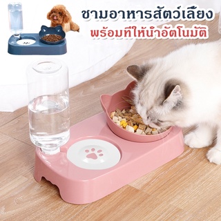 【พร้อมส่ง】Pet Bowl ชามให้อาหารพร้อมน้ำสำหรับสุนัขและแมว ชามให้อาหารสัตว์เลี้ยง ชามอาหารแมว ชามอาหารหมา ชามแมว ชามหมา