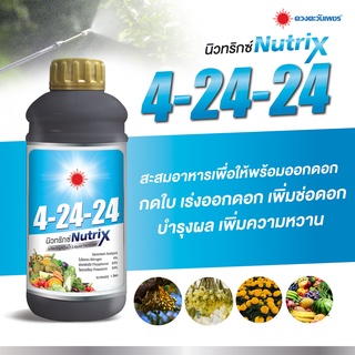 ปุ๋ยน้ำสูตร4-24-24(บำรุงดอกสะสมอาหาร)