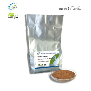 iKnowZyme Alkaline Protease Powder  เอนไซม์ อัลคาไลน์โปรตีเอส  ขนาด 1 กิโลกรัม