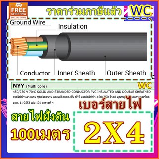 สายไฟฝั่งดิน NYY 2x4 สายไฟหุ้มฉนวนเอ็นวายวาย 100เมตร ฝังดินโดยตรง สายไฟกันน้ำ ร้อยท่อฝังผนังคอนกรีต ร้อยท่อฝังดิน