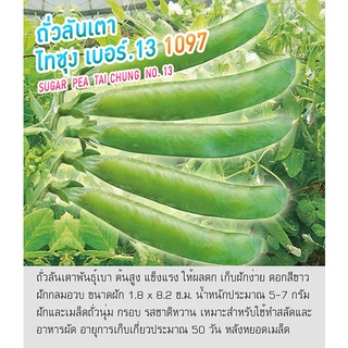 เมล็ดถั่วลันเตา ถั่วลันเตาหวาน