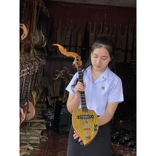 พิณโปร่งไฟฟ้า พิณโปร่ง ลำโพงพิณ แอมป์พิณ