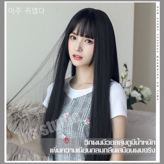 วิกผมยาว ผมปลอม วิกผมผู้หญิงยาวตรง wig hairpiece