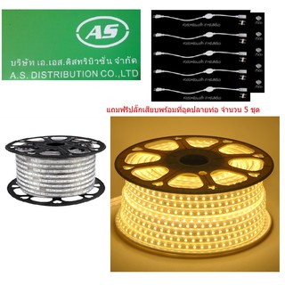 AS ไฟแอลอีดีเส้น SMD 5050 วอร์มไวท์ 220V พร้อมปลั๊กเสียบพร้อมที่อุดปลายท่อ จำนวน 5 ชุด