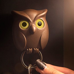 Night Owl Key Holder ที่แขวนพวงกุญแจ ดีไซน์ นกฮูก ที่เก็บกุญแจ ติดผนัง Qualy (ควอลี่) ราคา ถูกที่สุด ดีลบีเคเค แกลเลอรีภาพที่ 5