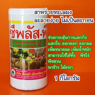 สาหร่ายทะเลผง (1กิโลกรัม) กระตุ้นแตกตาใบเปิดตาดอก ฟื้นต้นหลังเก็บเกี่ยว เพิ่มขนาดผล เพิ่มน้ำหนัก ขยายผล #ซีพลัสพี