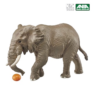 Ania AS-02 African Elephant (with orange)