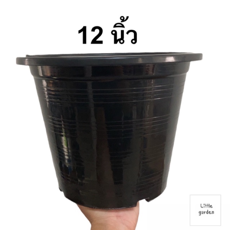 Little กระถางต้นไม้ (12 นิ้ว 10ใบ)(ดำเงาA+🖤)(10.5 นิ้ว 8(7.5)นิ้ว 10 ใบ)