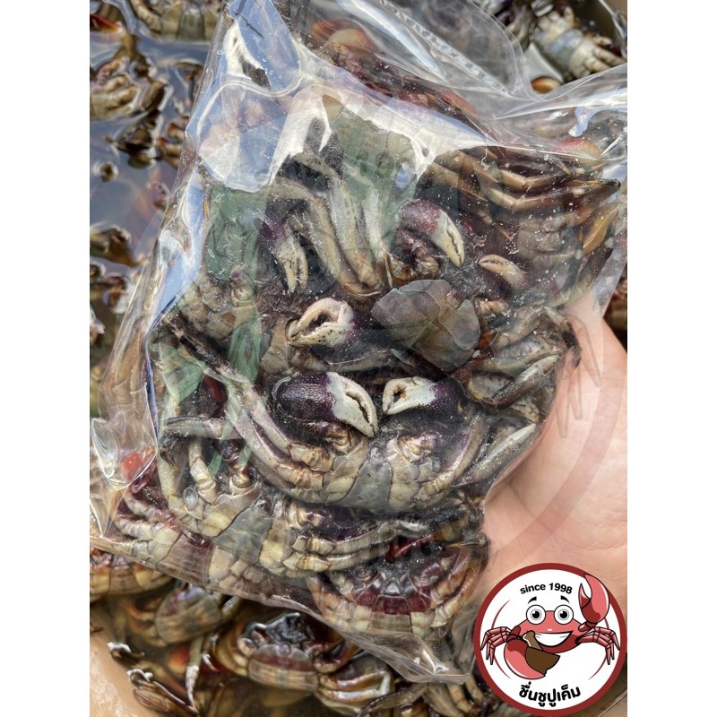 ปูเค็ม ไซส์ใหญ่ บรรจุ 500g, 800g (ปูแสมส้มตำ)
