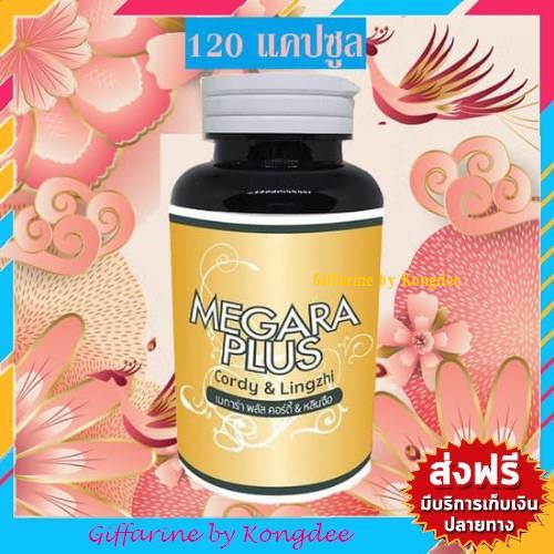 ถั่งเช่าสกัด แท้100% ถั่งเช่าเมการ่า ถั่งเช่าสีทอง ผสมเห็ดหลินจือ 120 แคปซูล