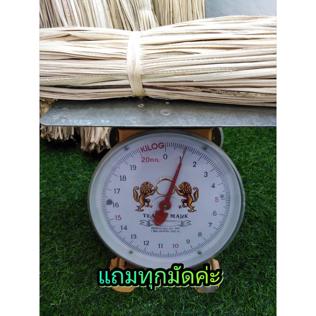 เชือกกล้วย ต้นกล้วยอินทรีย์ สีธรรมชาติ (Banana rope) น้ำหนัก 1กก ประมาณ 250-280 เส้น ขนาดเส้น 5-6มิล.