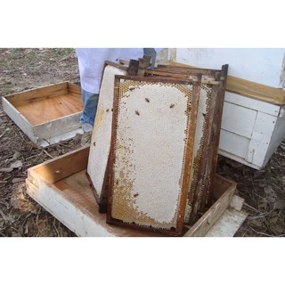 Beeswax Grade A น้ำหนัก 500 กรัม ไขผึ้งแท้ธรรมชาติ 100% ไขผึ้งทำผ้าห่อไขผึ้ง/ส่วนผสมเครื่องสำอาง cosmetic grade