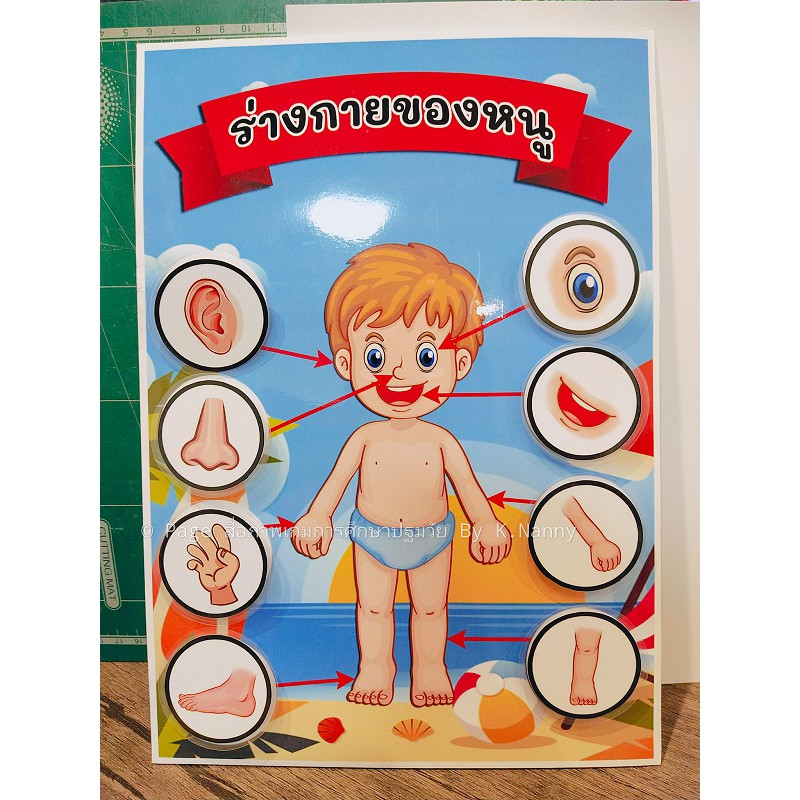 จัดส่งใน 2-3 วัน โปรดเลื่อนอ่านรายละเอียดสินค้า Nannygame สื่อการสอน เกมการศึกษา ปฐมวัย(อนุบาล) เกมร่างกายของหนู