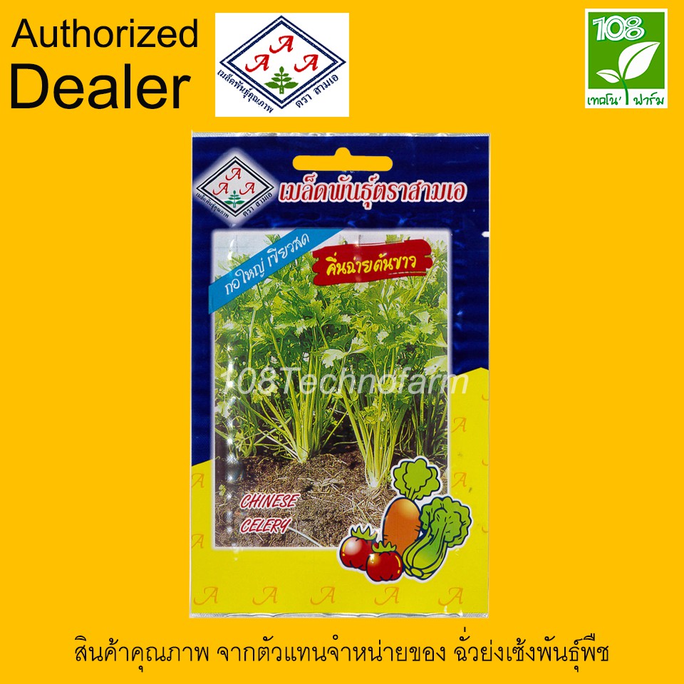 ผักซอง เมล็ดพันธุ์ คื่นช่ายต้นขาว ตราสามเอ
