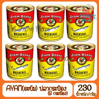 ชุดสุดคุ้ม 6กระป๋อง AYAM ปลากระป๋องอะยำ 230g ปลากระป๋อง  ปลาแมคเคอเรล อะยัม อยำ อะยำ อะยัม อยัม