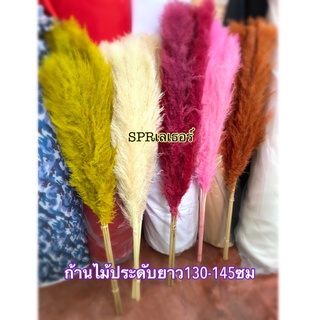 ก้านไม้ประดับ ความยาว 130-145 ซม. ราคาต่อก้าน ใช้ประดับตกแต่งทั่วไป